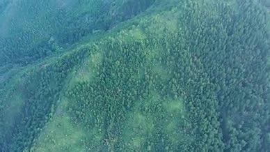 4K航拍大山深处森林密集黄昏山间绿水青山视频的预览图